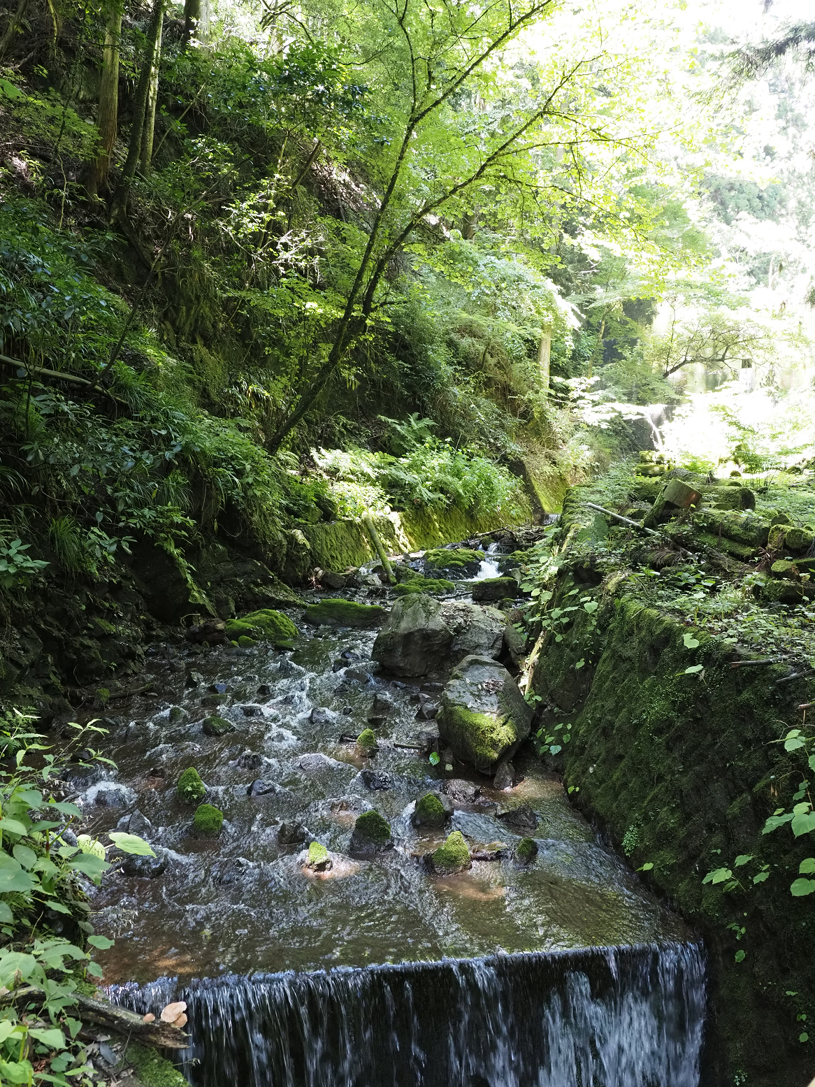 P7231510.jpg