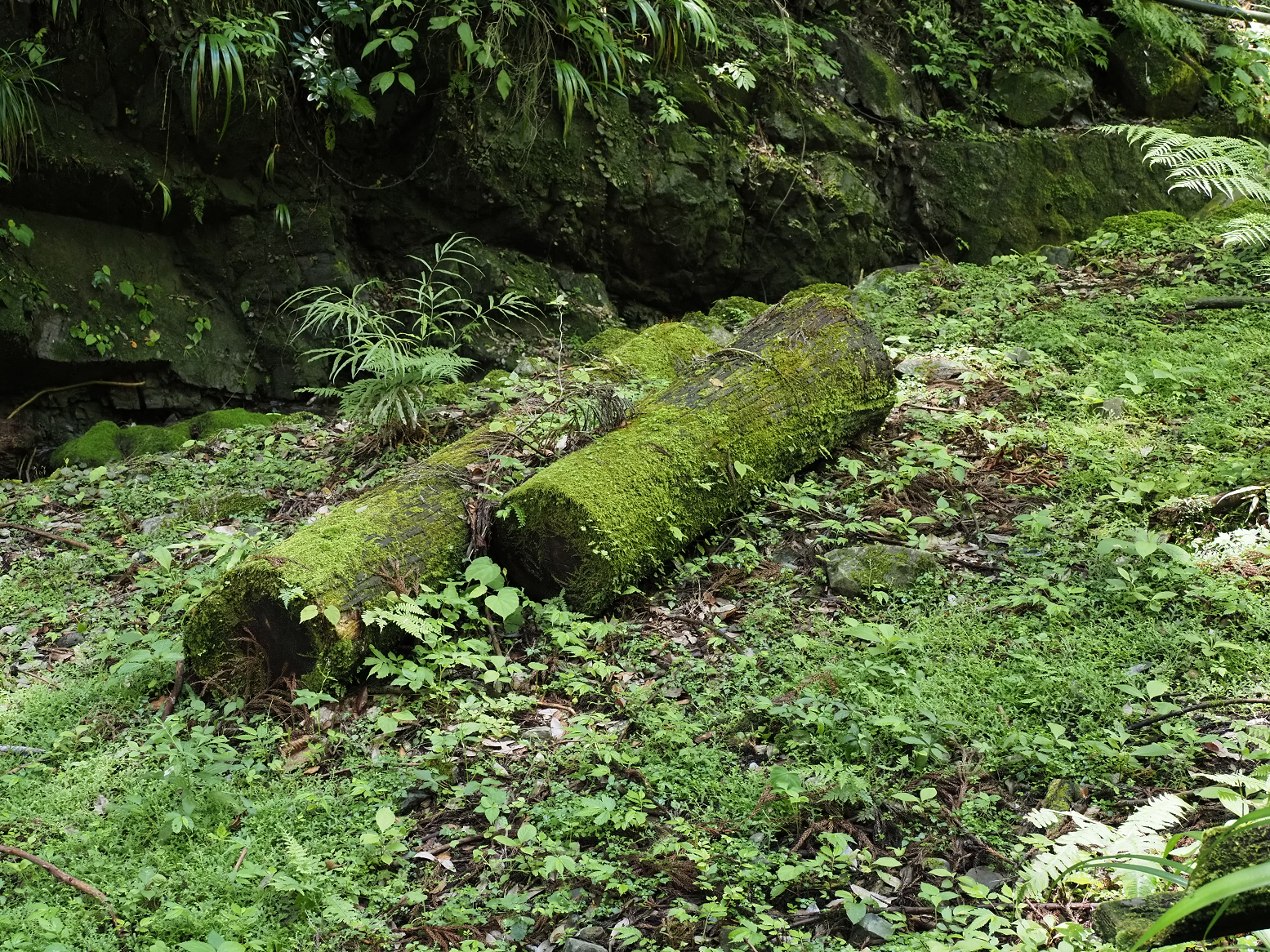 P7231514.jpg