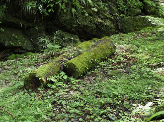 P7231514_thumb.png