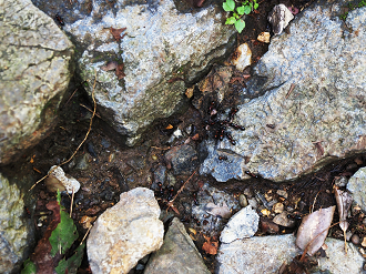 P7231536_thumb.png