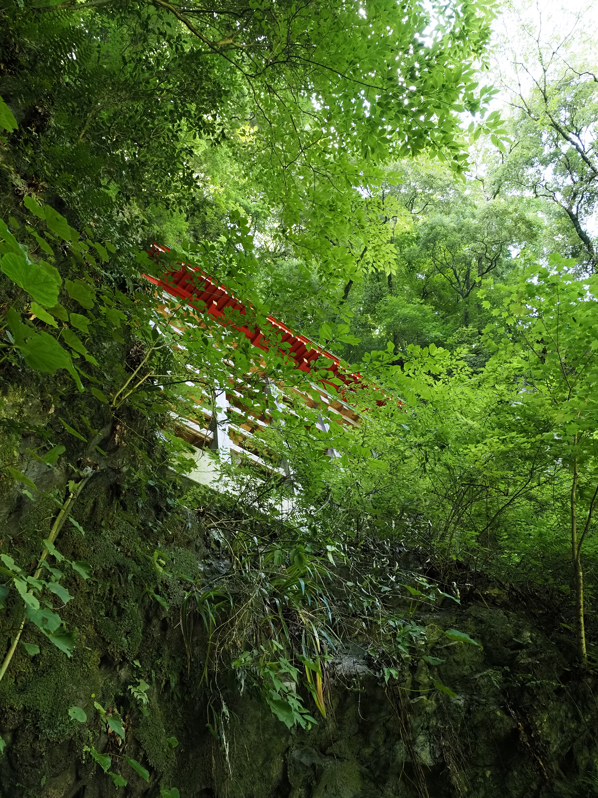 P7231561.jpg