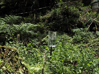 P7231572_thumb.png