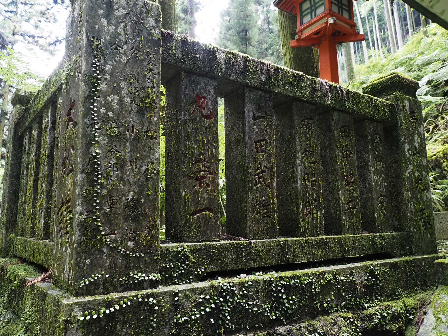 P7231577.jpg