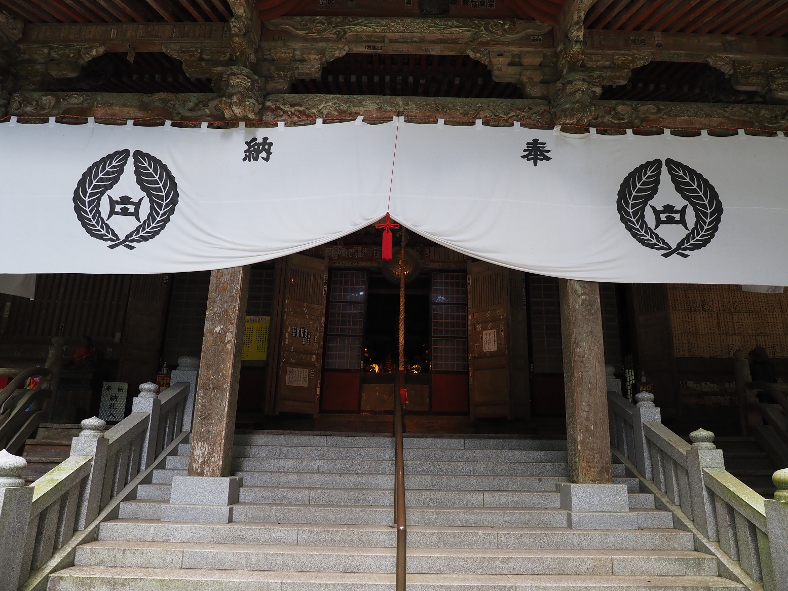 P7231594.jpg