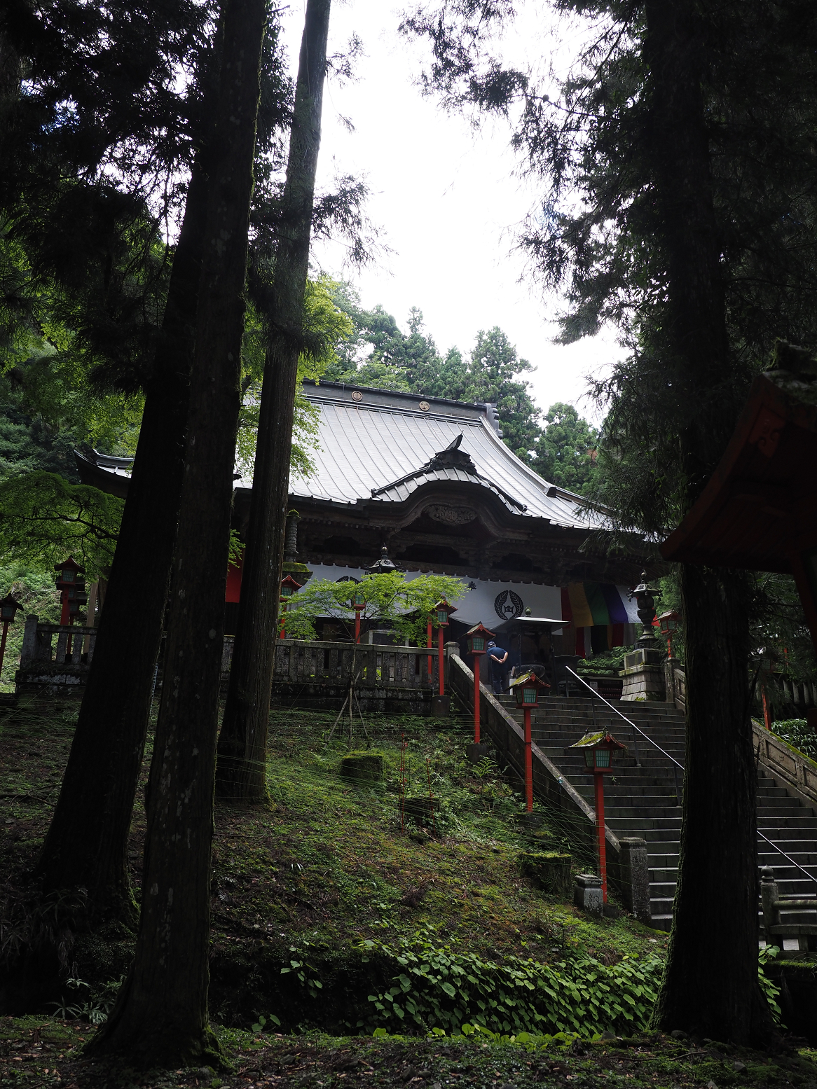 P7231598.jpg