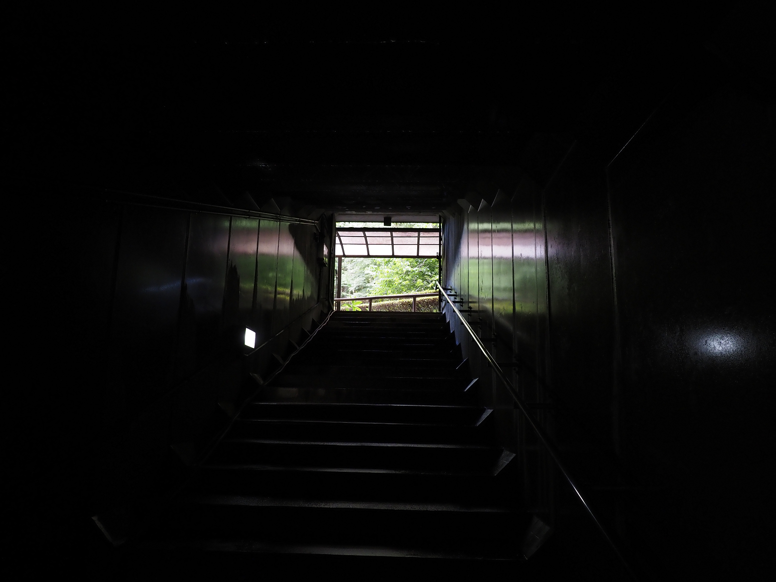 P7231624.jpg