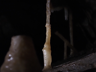 P7231675_thumb.png