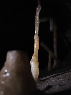P7231676_thumb.png