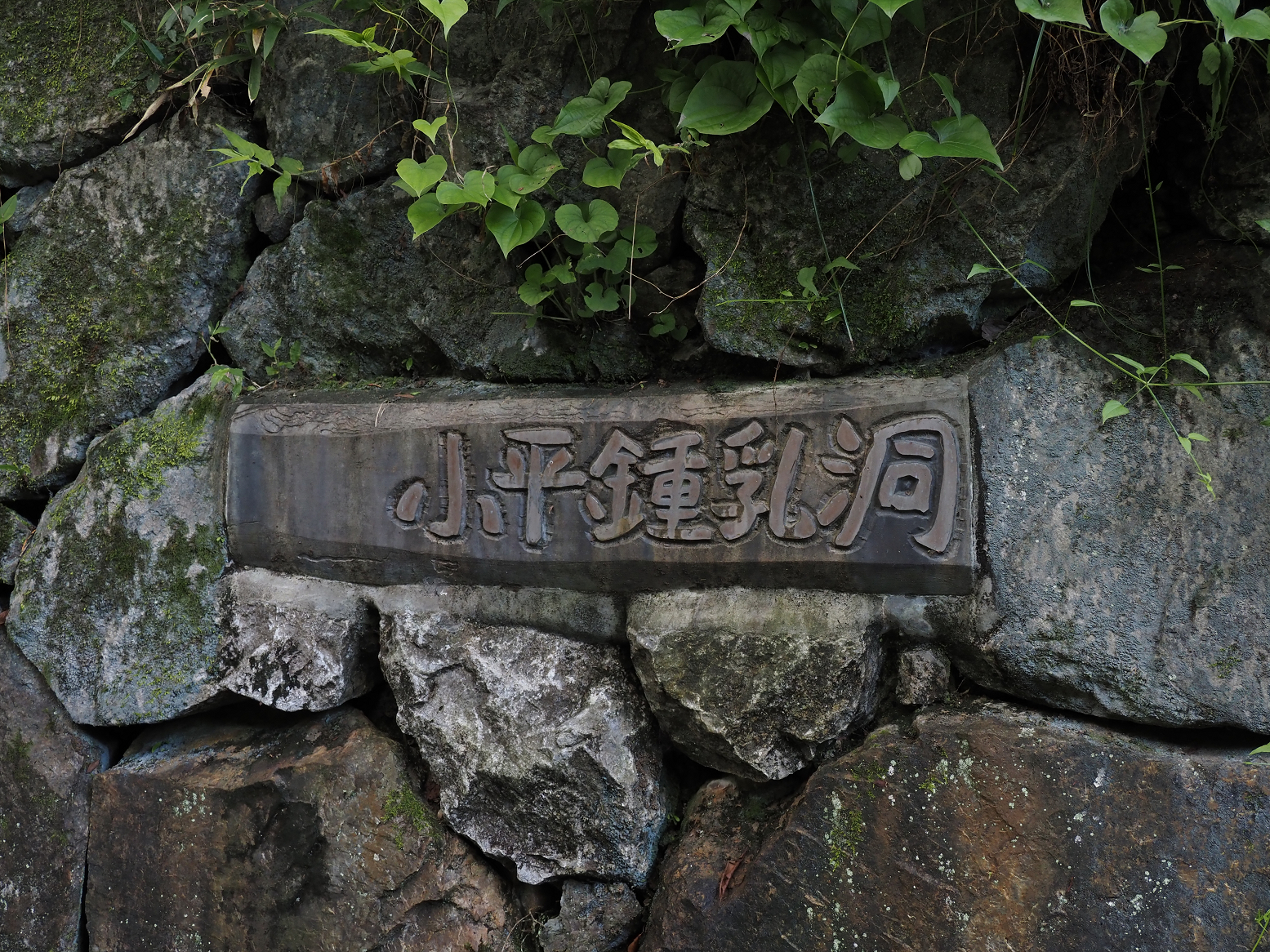 P7231704.jpg