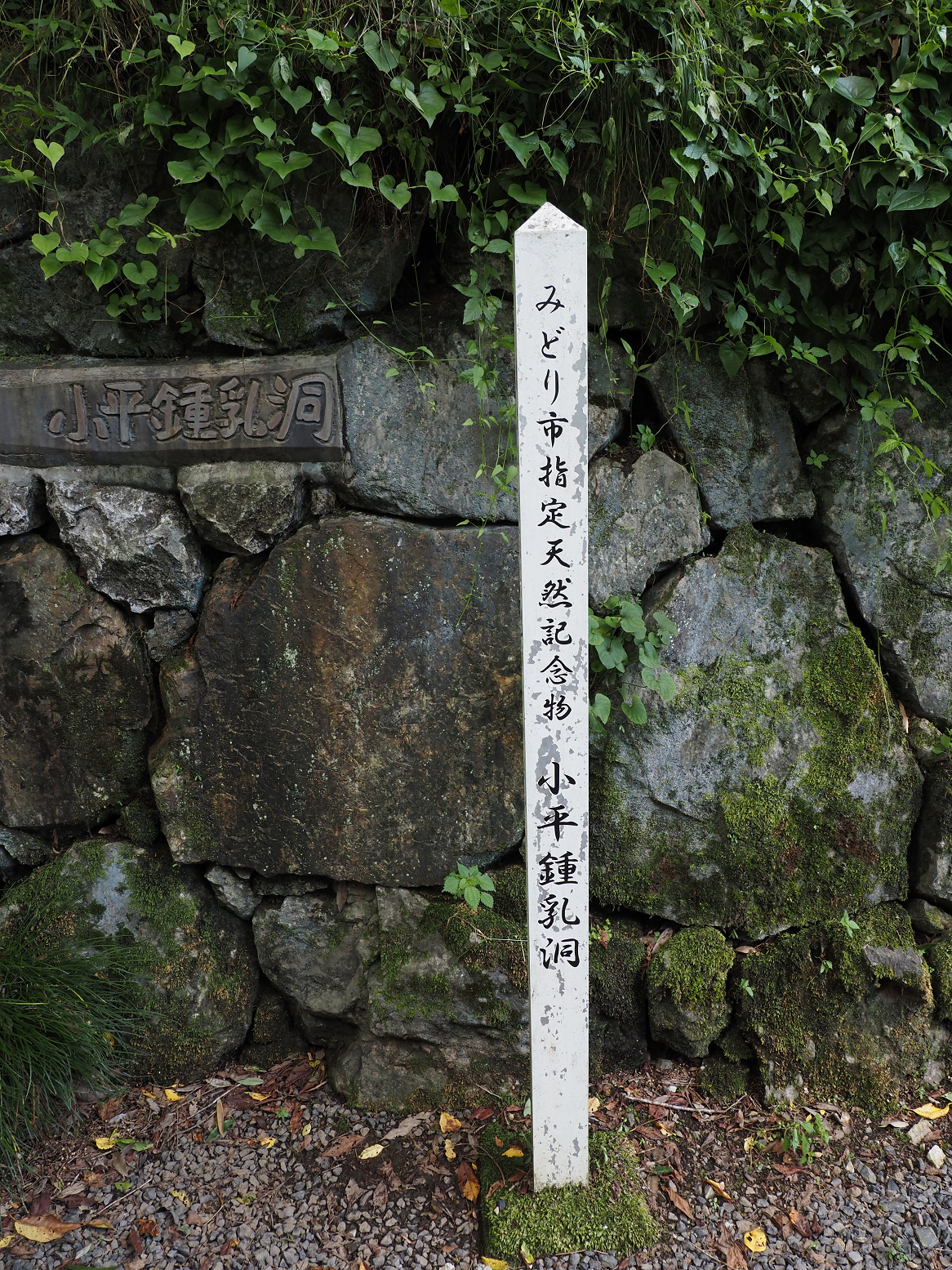 P7231705.jpg