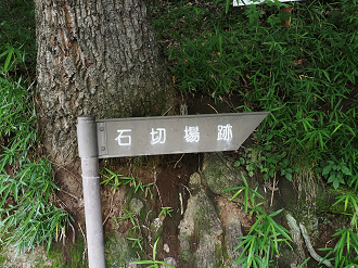 P7231716_thumb.png