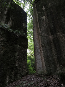 P7231724_thumb.png