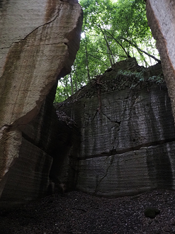 P7231734_thumb.png