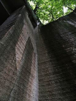 P7231736_thumb.png