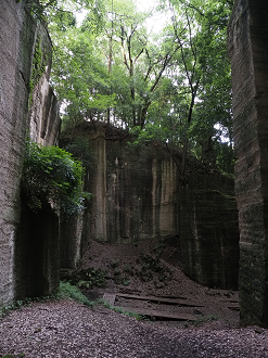 P7231738_thumb.png