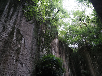 P7231742_thumb.png
