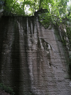 P7231744_thumb.png