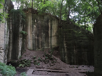 P7231745_thumb.png