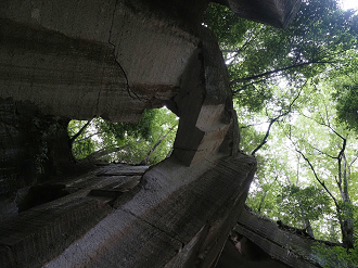 P7231746_thumb.png