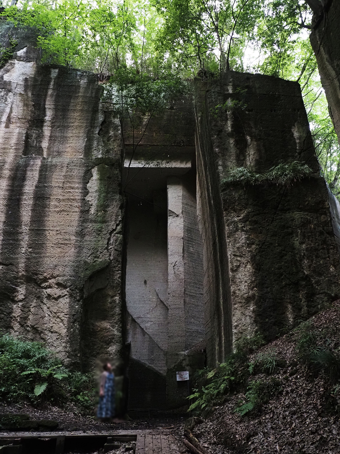P7231750.jpg