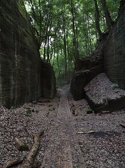 P7231751_thumb.png