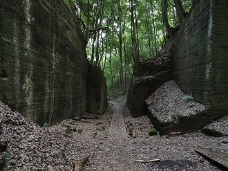 P7231752_thumb.png