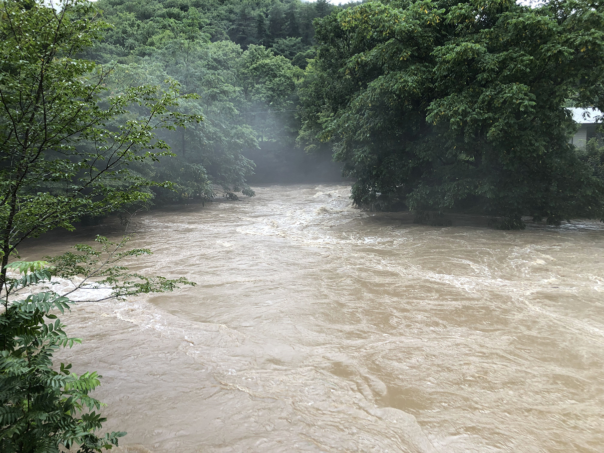 P8140115-116.jpg