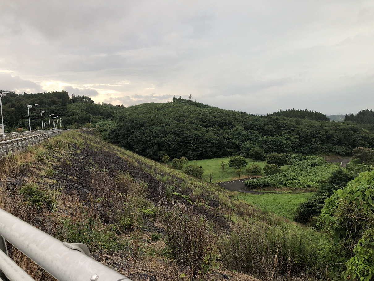 P8140115-154.jpg