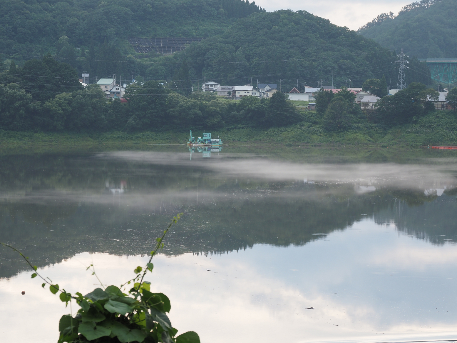 P8120003.jpg