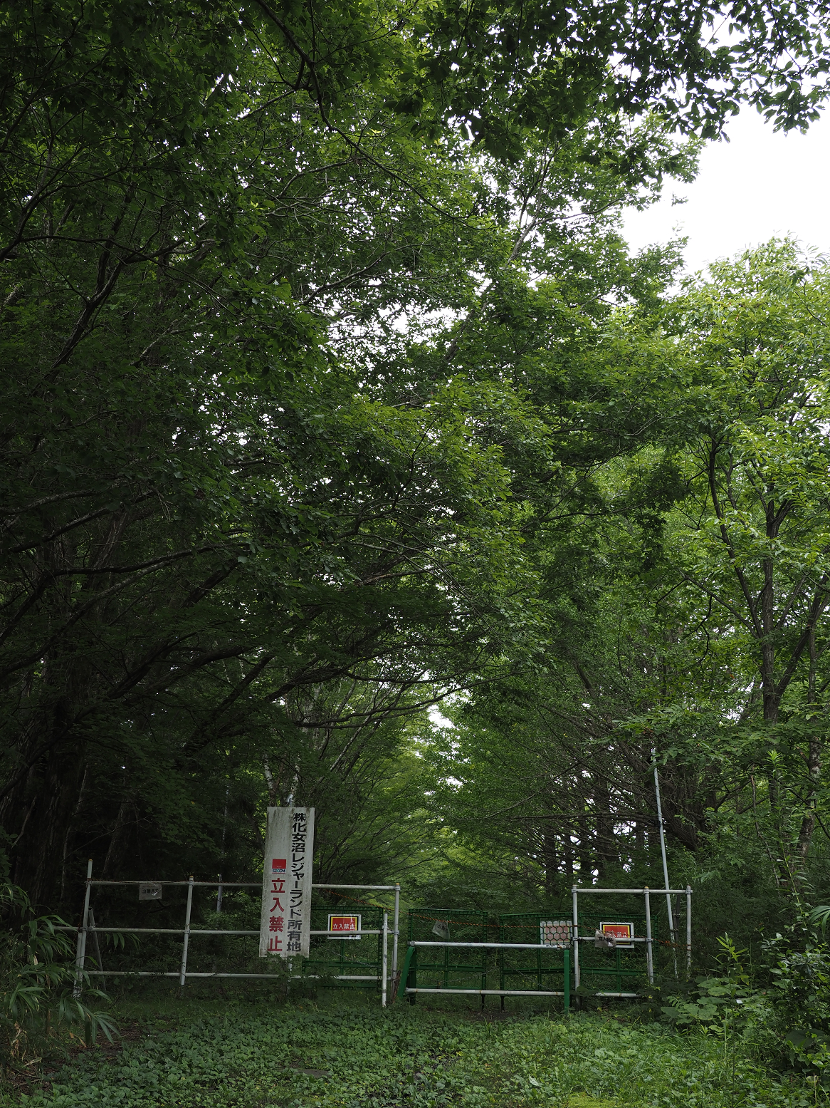 P8200019.jpg