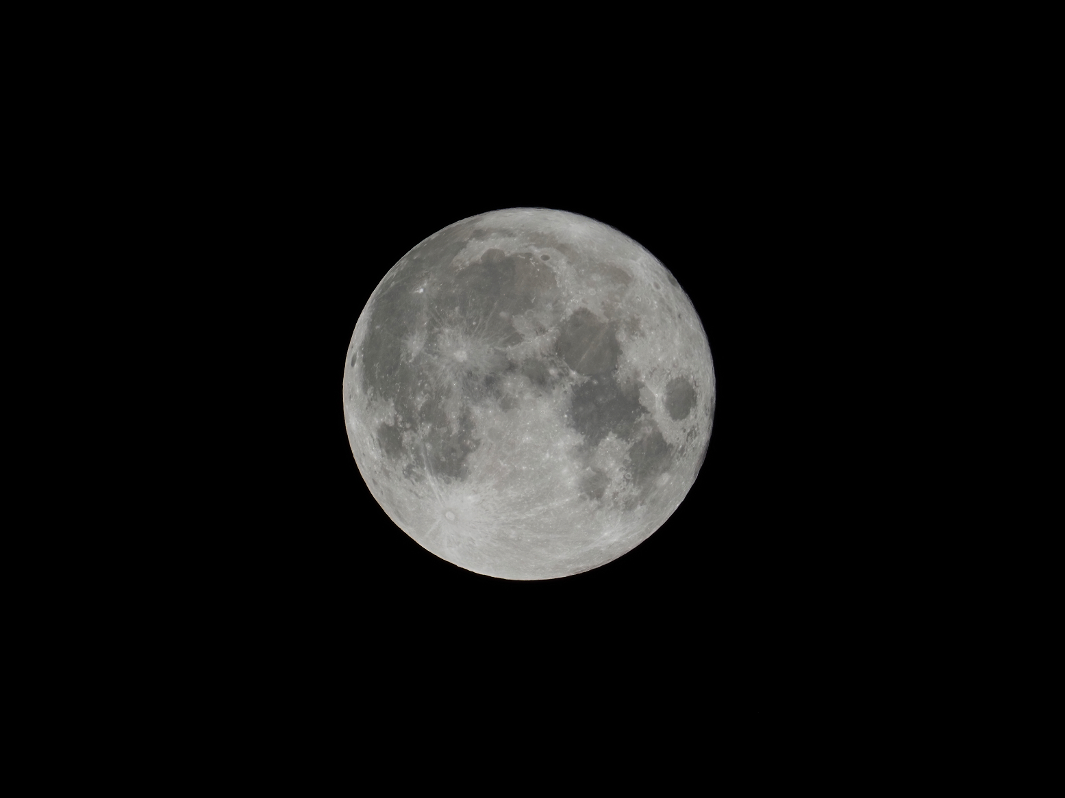 aP9100006.jpg