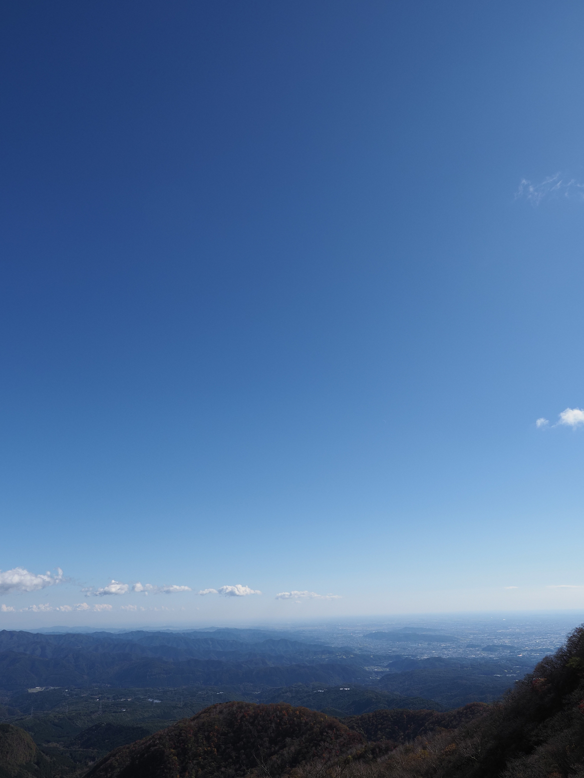 PA290003.jpg