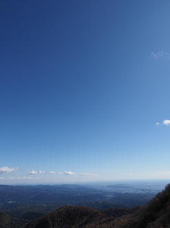PA290003_thumb.png