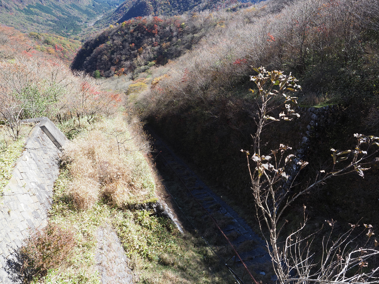 PA290005.jpg
