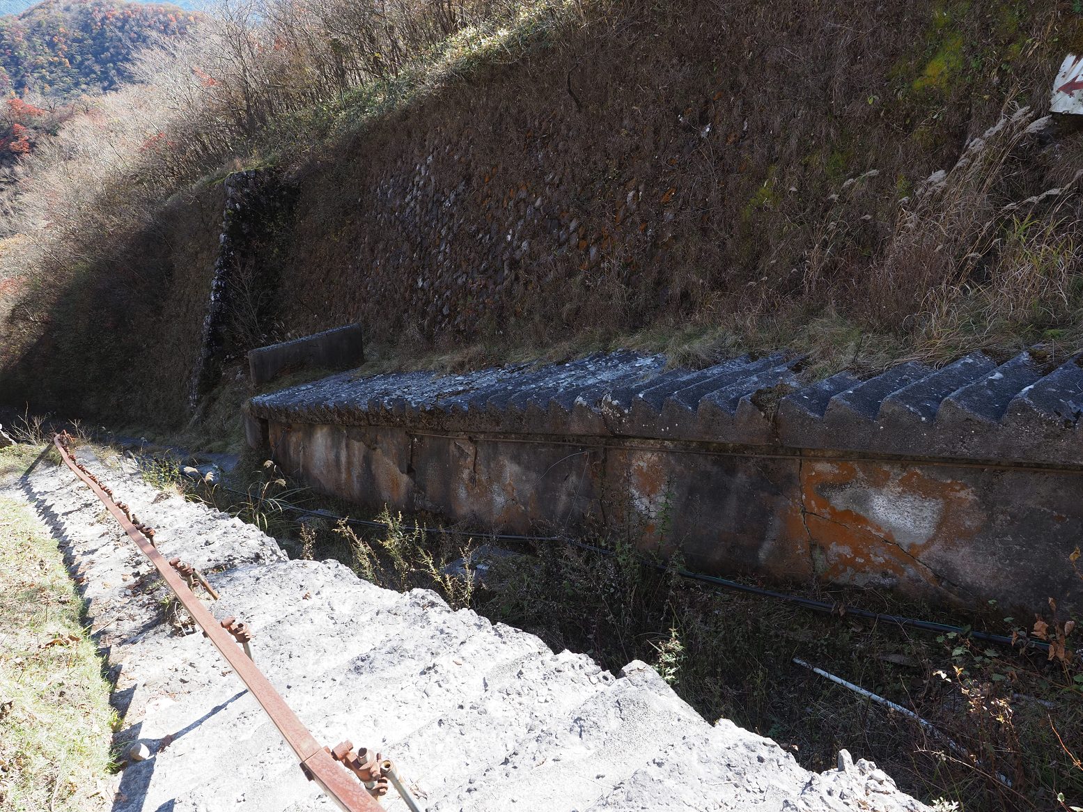 PA290011.jpg