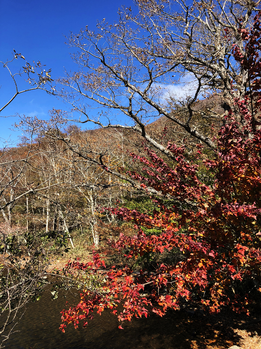PA290030-07.jpg