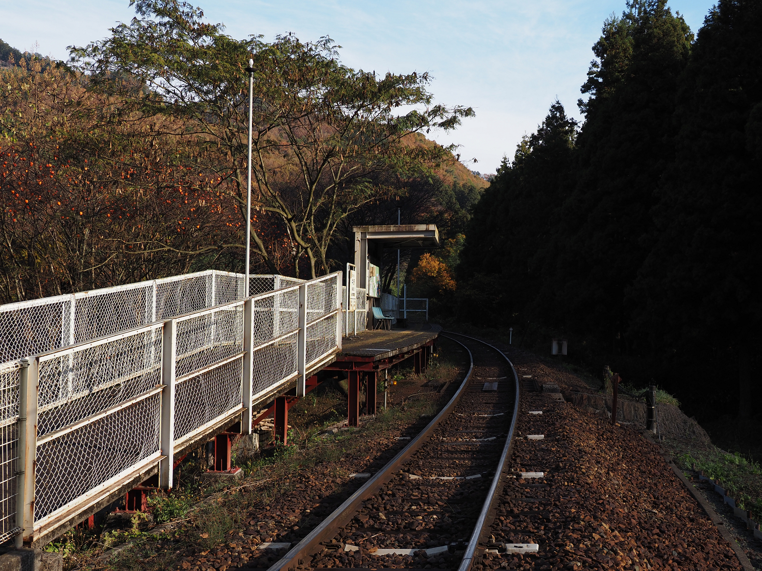 PB190084.jpg