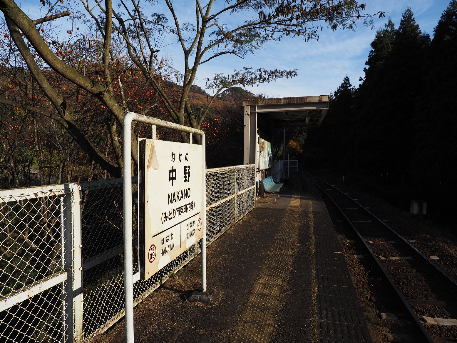 PB190086.jpg