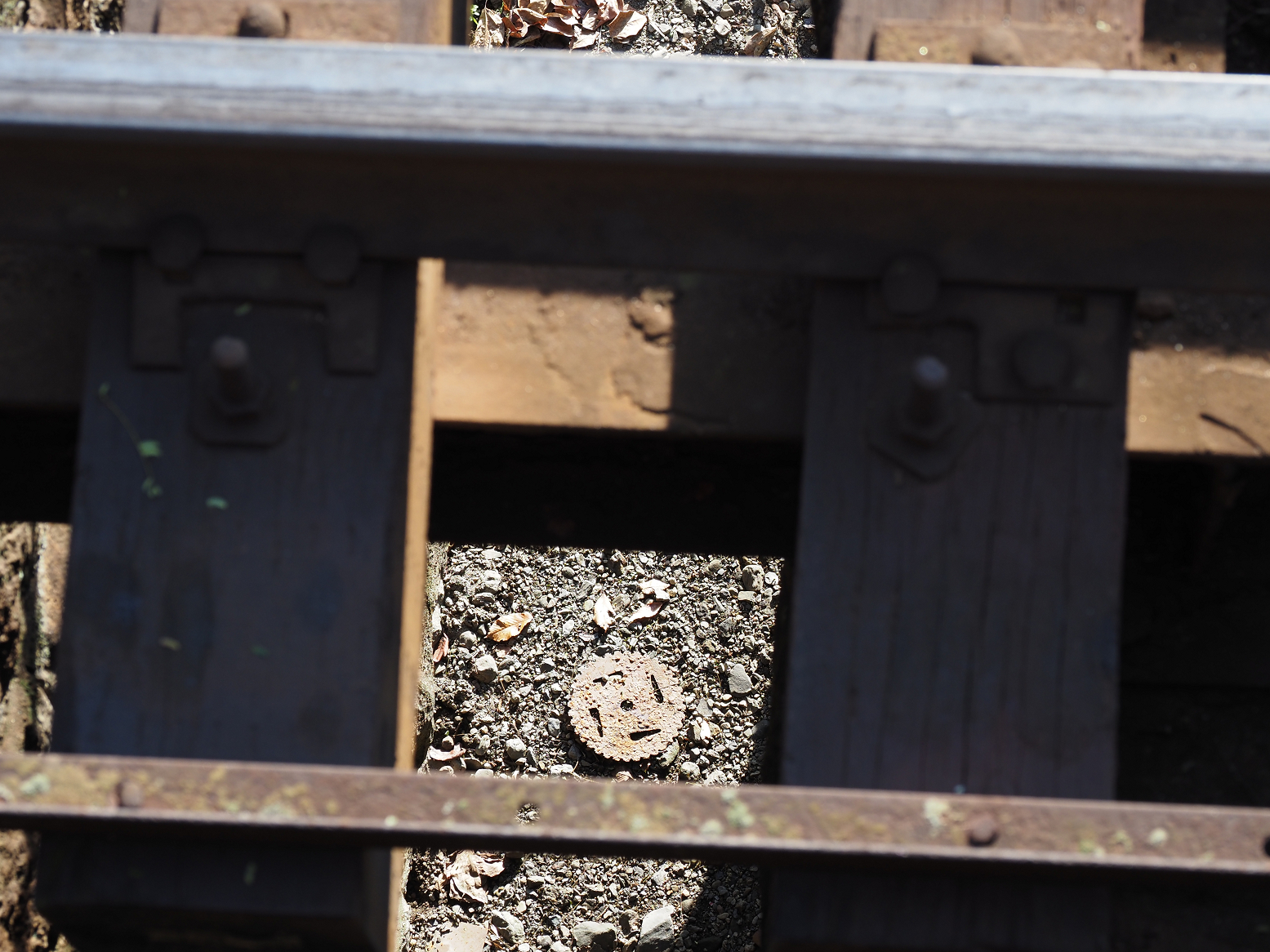 PB190092.jpg