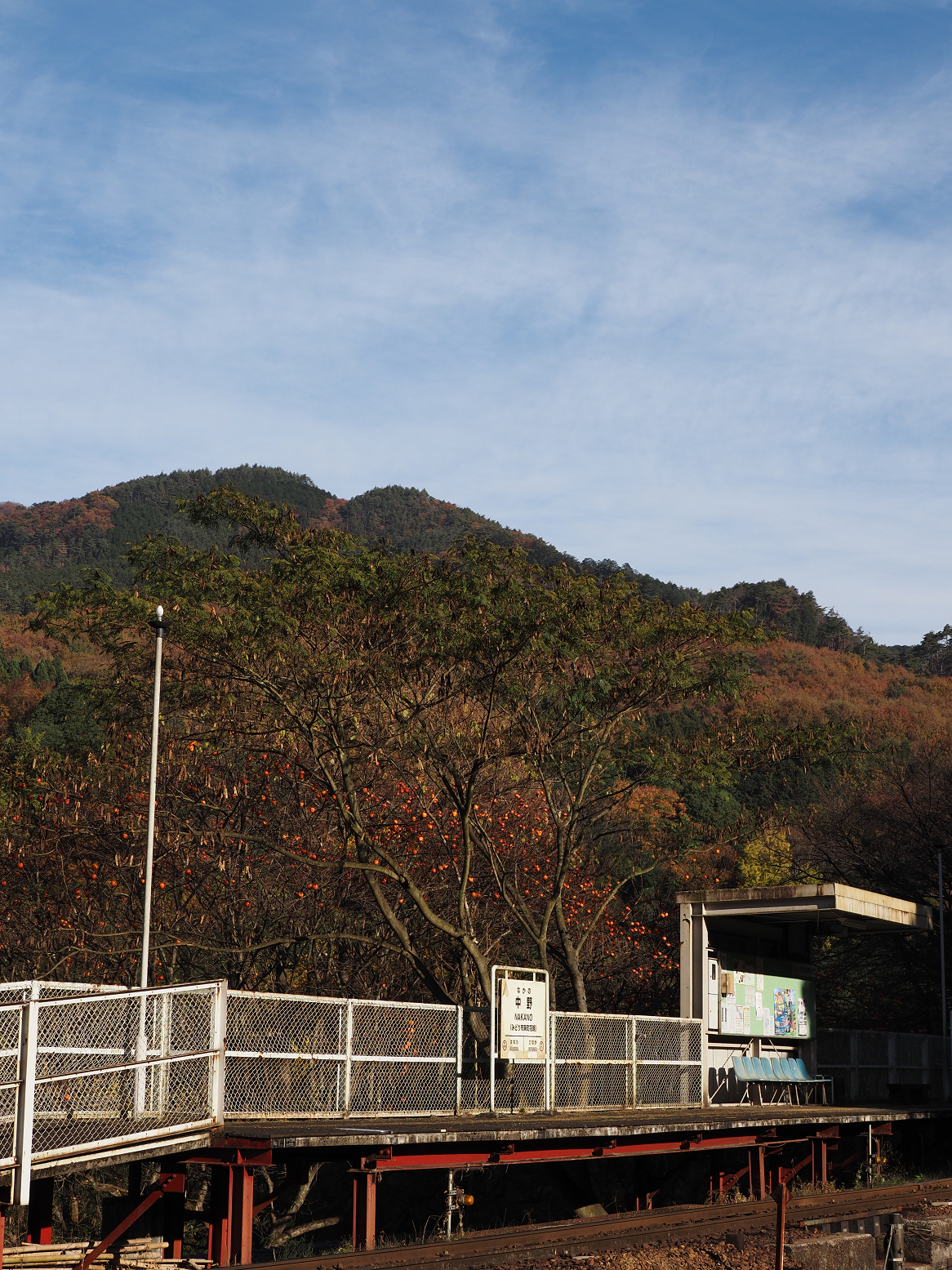 PB190097.jpg