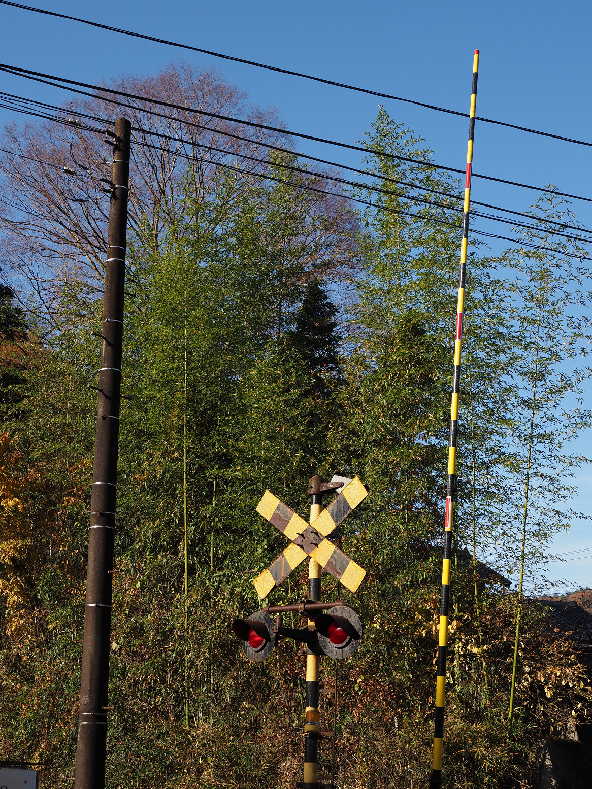 PB190099.jpg