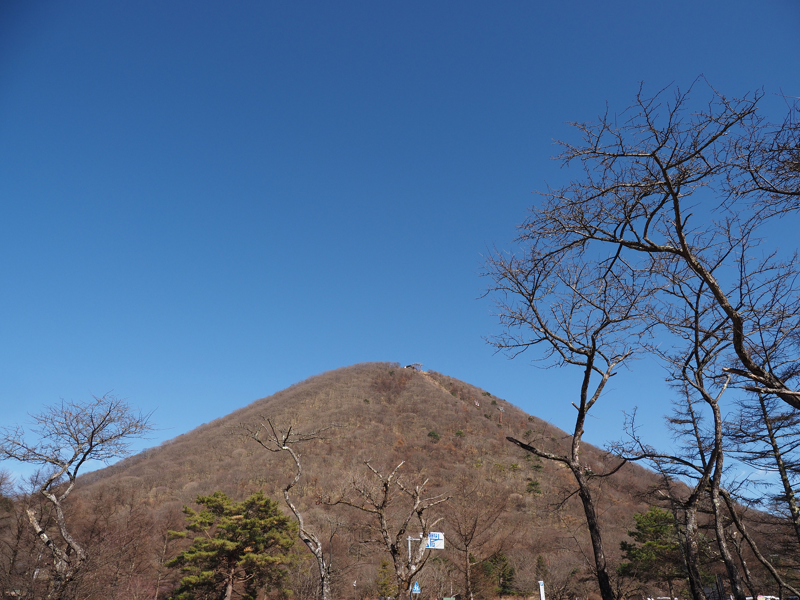 PB190215.jpg