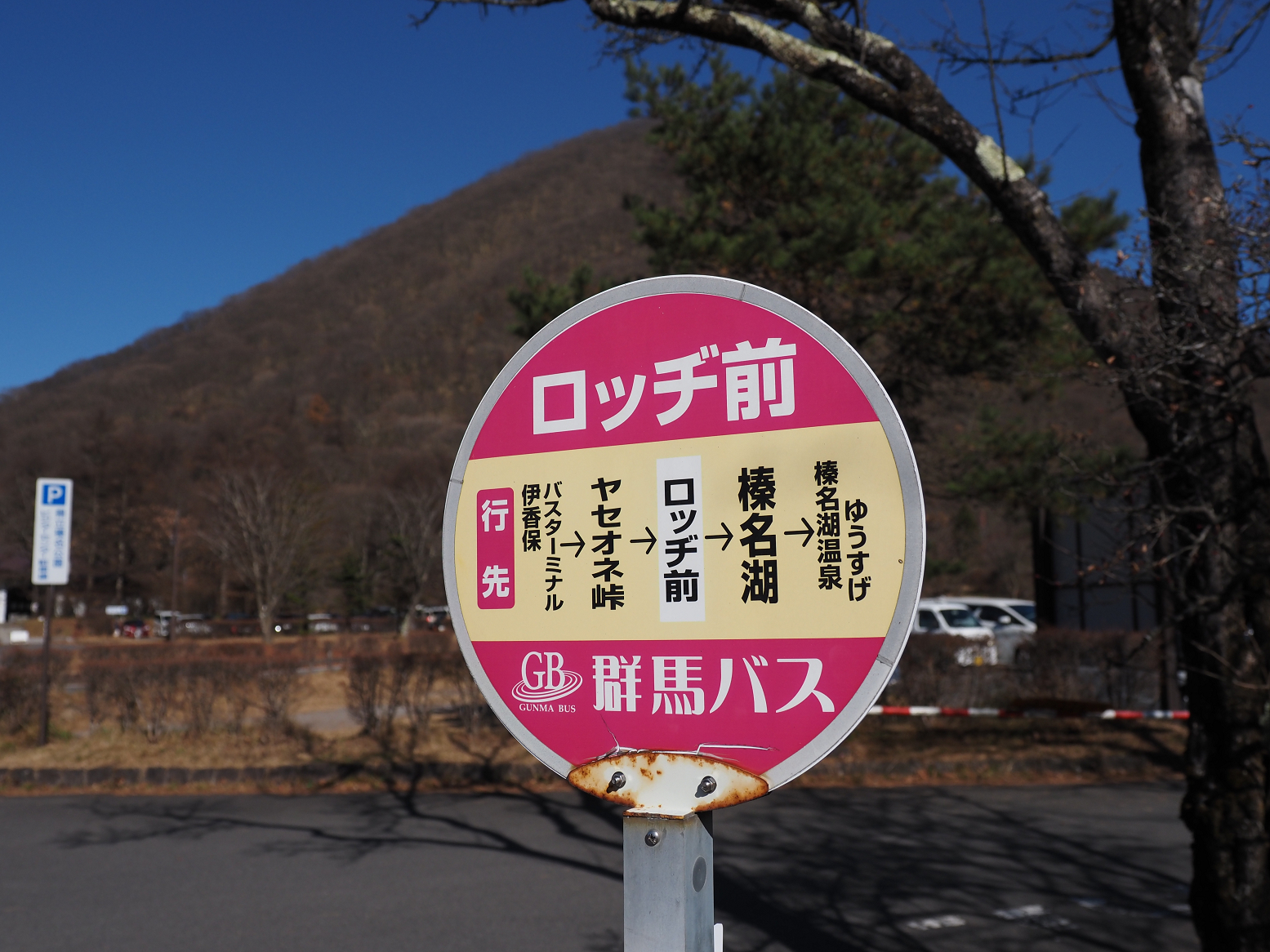 PB190230.jpg