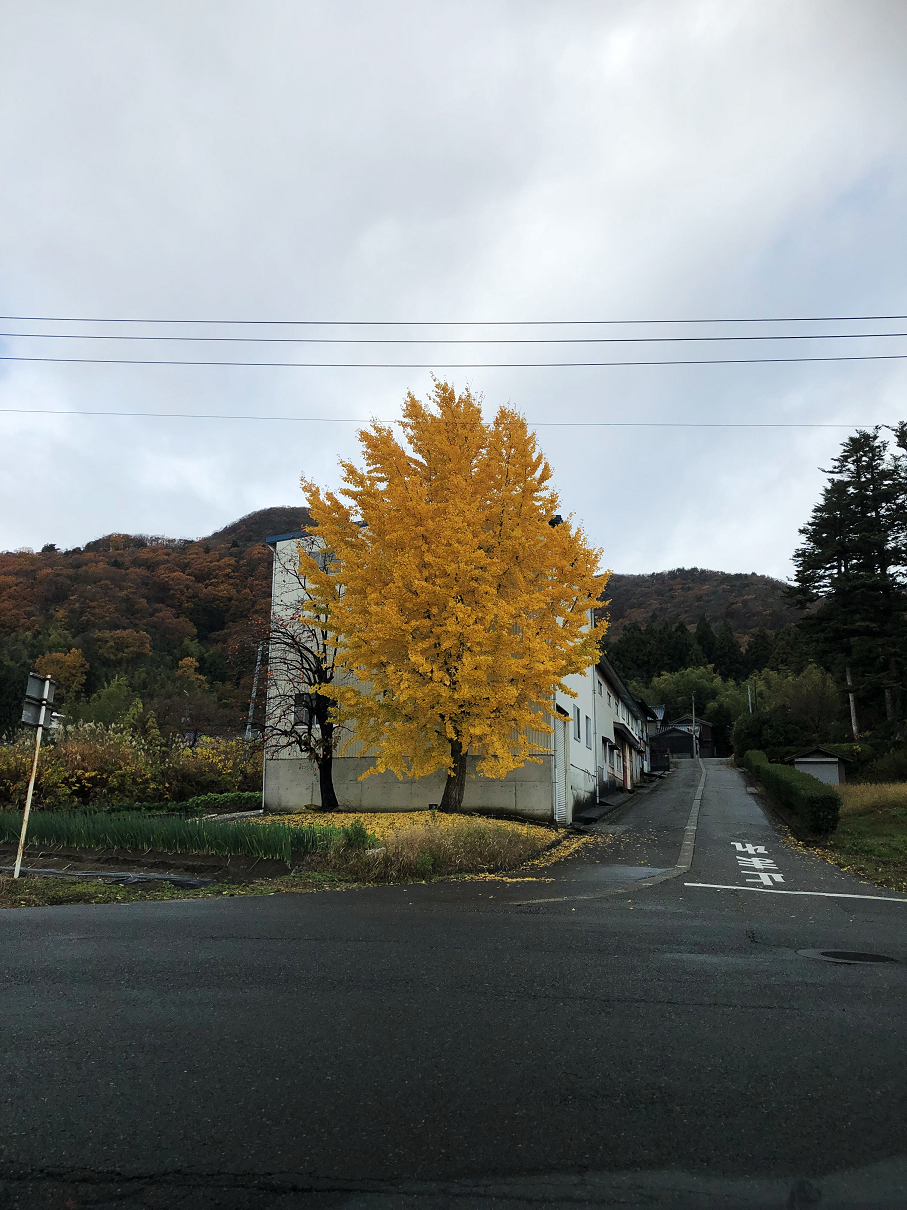 PB240108-01.jpg