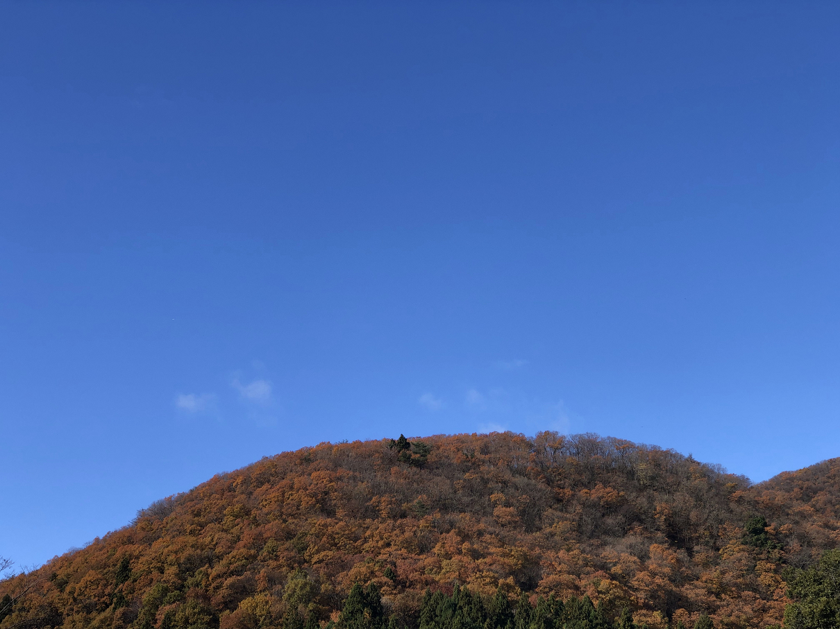 PB240108-16.jpg