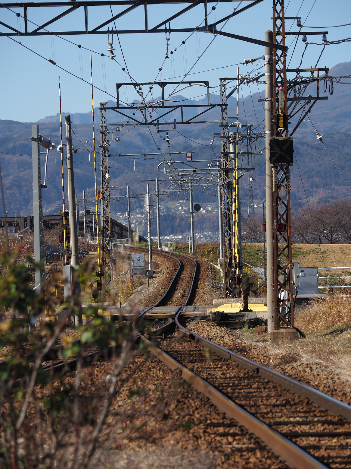 PB250120.jpg