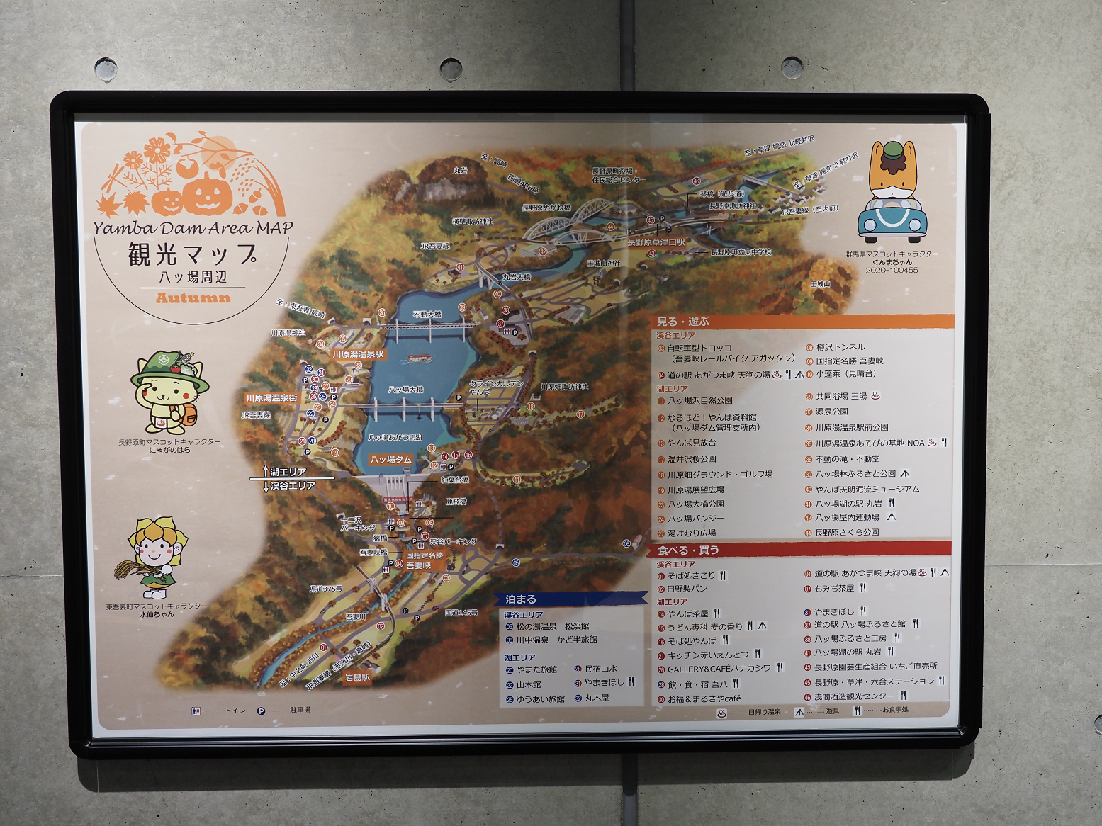 PB250371-00.jpg