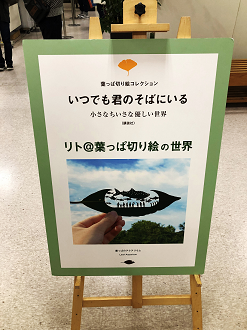 IMG_8647_thumb.png
