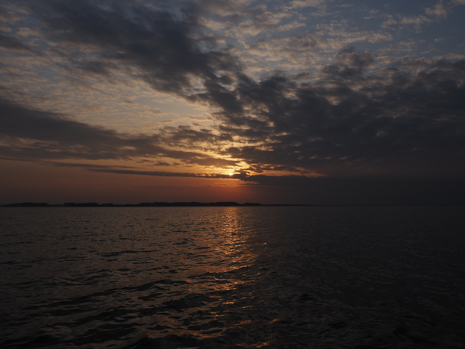 P2180346.jpg