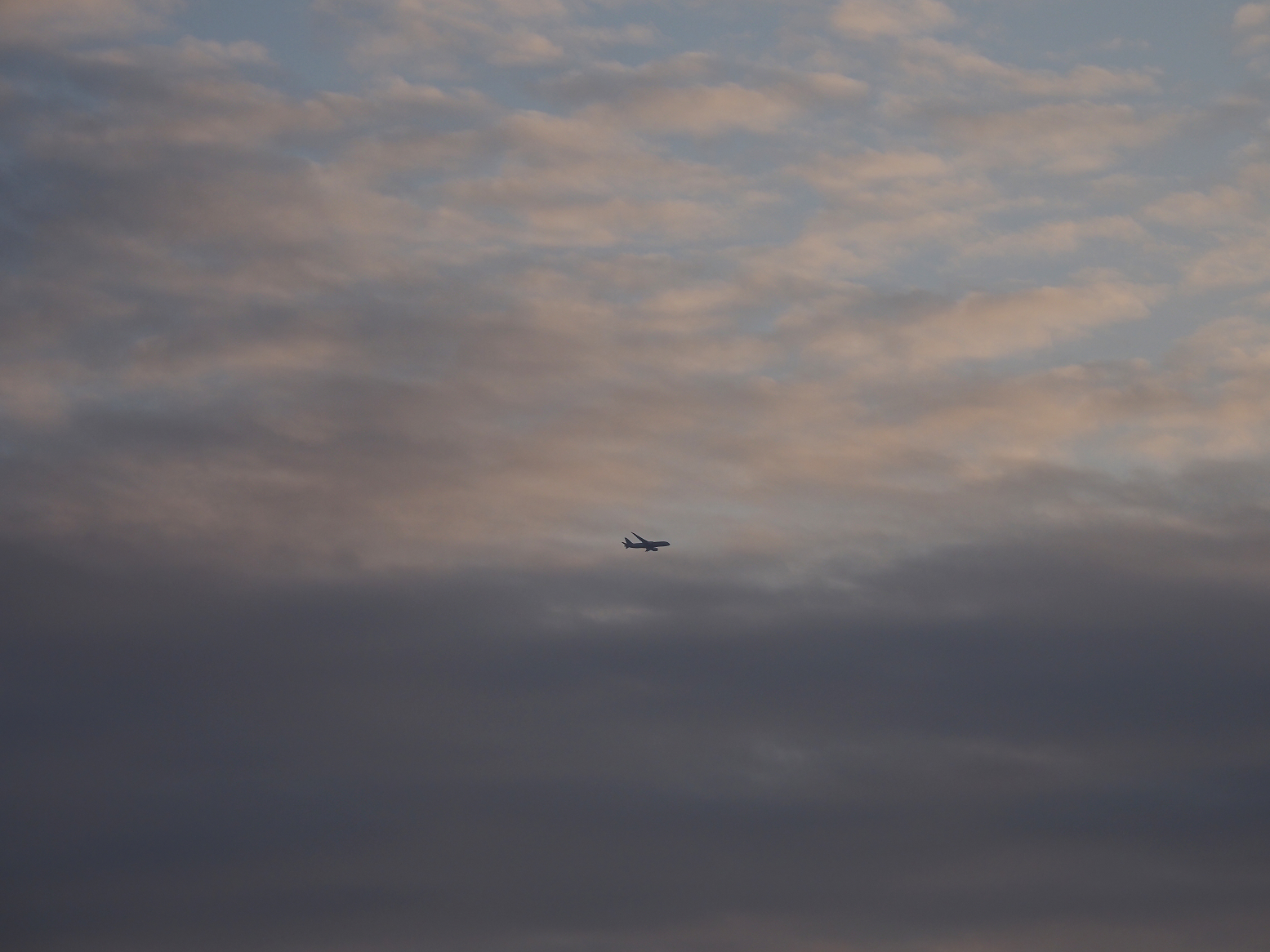 P2180350.jpg